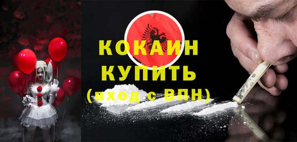 ешки Инта
