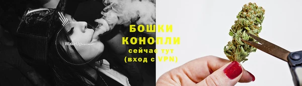 ешки Инта