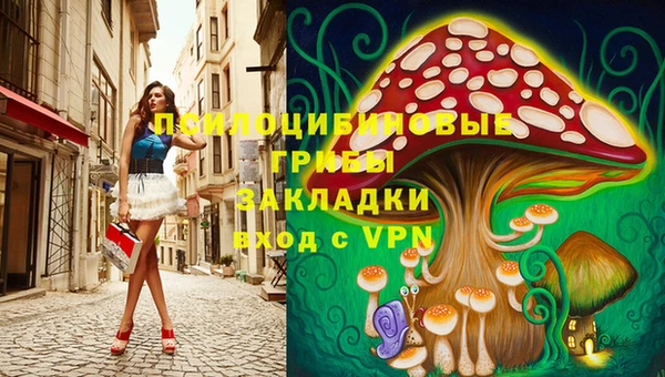мдпв Заволжск