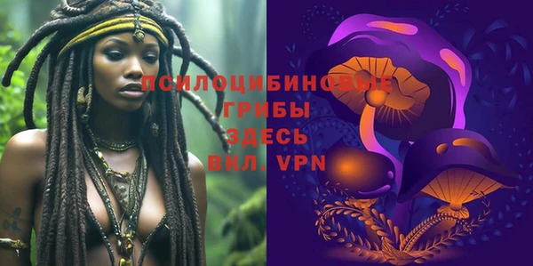 ешки Инта