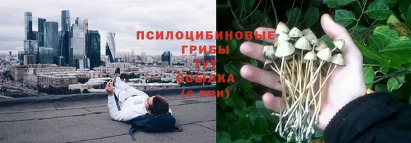 круглые Иннополис