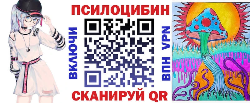 купить закладку  Киржач  Псилоцибиновые грибы Psilocybine cubensis 